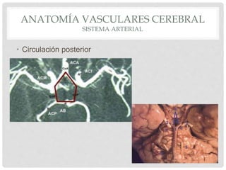 Malformaciones vasculares cerebrales | PPTX