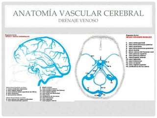 Malformaciones vasculares cerebrales | PPTX