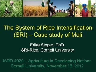 The System of Rice Intensification
   (SRI) – Case study of Mali
             Erika Styger, PhD
         SRI-Rice, Cornell University

IARD 4020 – Agriculture in Developing Nations
   Cornell University, November 16, 2012
 