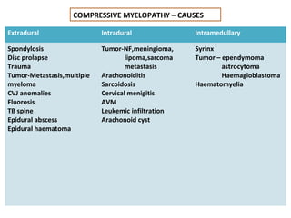 COMPRESSIVE MYELOPATHY – CAUSES
Extradural

Intradural

Intramedullary

Spondylosis
Disc prolapse
Trauma
Tumor-Metastasis,multiple
myeloma
CVJ anomalies
Fluorosis
TB spine
Epidural abscess
Epidural haematoma

Tumor-NF,meningioma,
lipoma,sarcoma
metastasis
Arachonoiditis
Sarcoidosis
Cervical menigitis
AVM
Leukemic infiltration
Arachonoid cyst

Syrinx
Tumor – ependymoma
astrocytoma
Haemagioblastoma
Haematomyelia

 