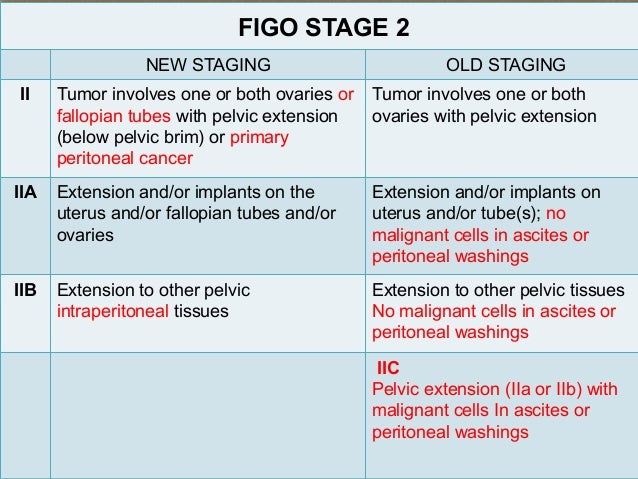 figo staging endometrial cancer 2014 pdf