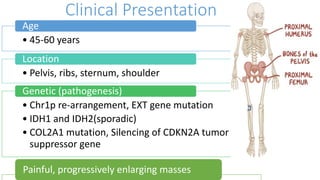 Clinical Presentation
• 45-60 years
Age
• Pelvis, ribs, sternum, shoulder
Location
• Chr1p re-arrangement, EXT gene mutation
• IDH1 and IDH2(sporadic)
• COL2A1 mutation, Silencing of CDKN2A tumor
suppressor gene
Genetic (pathogenesis)
Painful, progressively enlarging masses
 