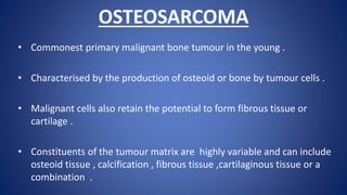 OSTEOSARCOMA
• Commonest primary malignant bone tumour in the young .
• Characterised by the production of osteoid or bone by tumour cells .
• Malignant cells also retain the potential to form fibrous tissue or
cartilage .
• Constituents of the tumour matrix are highly variable and can include
osteoid tissue , calcification , fibrous tissue ,cartilaginous tissue or a
combination .
 