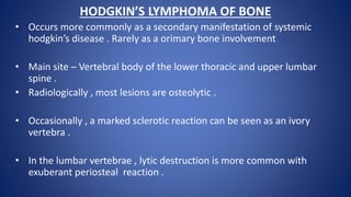 HODGKIN’S LYMPHOMA OF BONE
• Occurs more commonly as a secondary manifestation of systemic
hodgkin’s disease . Rarely as a orimary bone involvement
• Main site – Vertebral body of the lower thoracic and upper lumbar
spine .
• Radiologically , most lesions are osteolytic .
• Occasionally , a marked sclerotic reaction can be seen as an ivory
vertebra .
• In the lumbar vertebrae , lytic destruction is more common with
exuberant periosteal reaction .
 