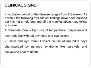 CLINICAL SIGNS :
• Incubation period of the disease ranges from 2-8 weeks. As
a whole the following four clinical findings have been outlined
but it is not a rigid one and all the manifestations may follow
in a case.
1. Peracute form :- High rise of temperature, dyspnoea and
diarrhoea but with out any head and eye lesions
2. Head and eye form:- Clinical course of around 9 days
characterized by nervous syndrome like paralysis and
convulsion prior to death
 