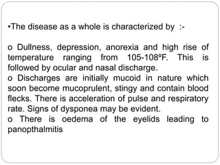 •The disease as a whole is characterized by :-
o Dullness, depression, anorexia and high rise of
temperature ranging from 105-108ºF. This is
followed by ocular and nasal discharge.
o Discharges are initially mucoid in nature which
soon become mucoprulent, stingy and contain blood
flecks. There is acceleration of pulse and respiratory
rate. Signs of dysponea may be evident.
o There is oedema of the eyelids leading to
panopthalmitis
 
