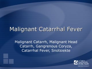 MalignantCatarrhalFever powerpoint presentation | PPT