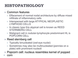 HISTOPATHOLOGY
 Common features
 Effacement of normal nodal architecture by diffuse mixed
infiltrate of inflammatory cells
 Interspersed with large ATYPICAL NEOPLASTIC
LYMPHOID CELLS
 In classic type this atypical cell is known as REED
STERNBERG CELL
 Malignant cell in nodular-lymphocyte predominant HL is
POPCORN CELL
 Reed sternberg cell
 Typically binucleated (owl-eye nuclei)
 Sometimes may also be multinucleated (pennies on a
plate) with prominent nucleoli
 Popcorn cell: nucleus resembles kernel of popped
corn
 
