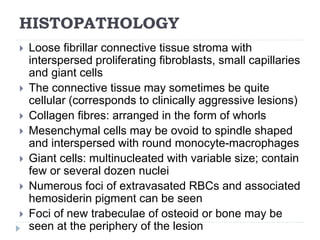 HISTOPATHOLOGY
 Loose fibrillar connective tissue stroma with
interspersed proliferating fibroblasts, small capillaries
and giant cells
 The connective tissue may sometimes be quite
cellular (corresponds to clinically aggressive lesions)
 Collagen fibres: arranged in the form of whorls
 Mesenchymal cells may be ovoid to spindle shaped
and interspersed with round monocyte-macrophages
 Giant cells: multinucleated with variable size; contain
few or several dozen nuclei
 Numerous foci of extravasated RBCs and associated
hemosiderin pigment can be seen
 Foci of new trabeculae of osteoid or bone may be
seen at the periphery of the lesion
 