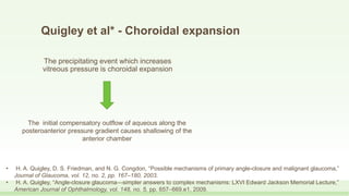 Quigley et al* - Choroidal expansion
The precipitating event which increases
vitreous pressure is choroidal expansion
The initial compensatory outflow of aqueous along the
posteroanterior pressure gradient causes shallowing of the
anterior chamber
• H. A. Quigley, D. S. Friedman, and N. G. Congdon, “Possible mechanisms of primary angle-closure and malignant glaucoma,”
Journal of Glaucoma, vol. 12, no. 2, pp. 167–180, 2003.
• H. A. Quigley, “Angle-closure glaucoma—simpler answers to complex mechanisms: LXVI Edward Jackson Memorial Lecture,”
American Journal of Ophthalmology, vol. 148, no. 5, pp. 657–669.e1, 2009.
 