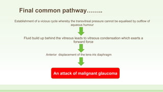 Final common pathway……..
Fluid build up behind the vitreous leads to vitreous condensation which exerts a
forward force
Establishment of a vicious cycle whereby the transvitreal pressure cannot be equalised by outflow of
aqueous humour
Anterior displacement of the lens-iris diaphragm
An attack of malignant glaucoma
 