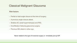 Risk factors
• Partial or total angle closure at the time of surgery.
• A previous angle closure attack.
• Shallow AC (axial hypermetropia) and PAS.
• Overfiltration following glaucoma surgery.
• Previous MG attack in other eye.
Classical Malignant Glaucoma
Never related to the type of incisional surgery or immediate pre-op IOP.
 