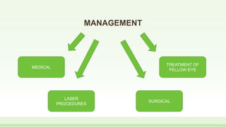 MANAGEMENT
MEDICAL
LASER
PROCEDURES
SURGICAL
TREATMENT OF
FELLOW EYE
 