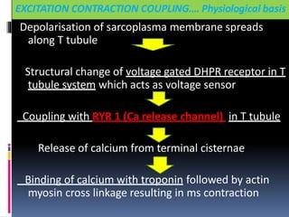 EXCITATION CONTRACTION COUPLING…. Physiological basis
Depolarisation of sarcoplasma membrane spreads
along T tubule
Structural change of voltage gated DHPR receptor in T
tubule system which acts as voltage sensor
Coupling with RYR 1 (Ca release channel) in T tubule
Release of calcium from terminal cisternae
Binding of calcium with troponin followed by actin
myosin cross linkage resulting in ms contraction
 