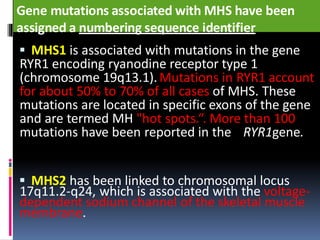Gene mutations associated with MHS have been
assigned a numbering sequence identifier
 MHS1 is associated with mutations in the gene
RYR1 encoding ryanodine receptor type 1
(chromosome 19q13.1).Mutations in RYR1 account
for about 50% to 70% of all cases of MHS. These
mutations are located in specific exons of the gene
and are termed MH "hot spots.“. More than 100
mutations have been reported in the RYR1gene.
 MHS2 has been linked to chromosomal locus
17q11.2-q24, which is associated with the voltage-
dependent sodium channel of the skeletal muscle
membrane.
 