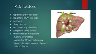 Risk factors
 hepatitis B (HBV) infection
 hepatitis C (HCV) infection
 alcoholism
 biliary cirrhosis
 food toxins e.g. aflatoxins
 congenital biliary atresia
 inborn errors of metabolism
haemochromatosis
alpha-1 antitrypsin deficiency
type 1 glycogen storage disease
Wilson disease
 