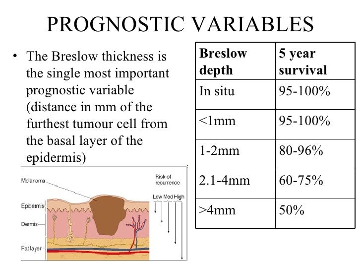 What Is A Breslow Scale Melanoma Staging Explained AJEC What Is A Breslow Scale Melanoma Staging Explained AJEC