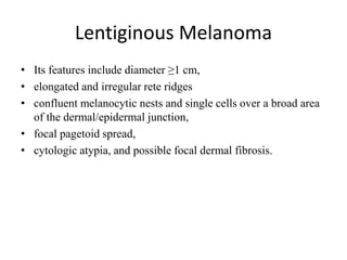 Lentiginous Melanoma
• Its features include diameter ≥1 cm,
• elongated and irregular rete ridges
• confluent melanocytic nests and single cells over a broad area
of the dermal/epidermal junction,
• focal pagetoid spread,
• cytologic atypia, and possible focal dermal fibrosis.
 