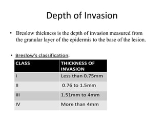 Depth of Invasion
• Breslow thickness is the depth of invasion measured from
the granular layer of the epidermis to the base of the lesion.
 