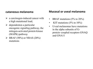 cutaneous melanoma
 a carcinogen-induced cancer with
a high mutational load,
 dependenton a particular
oncogenic signaling pathway, the
mitogen-activated protein kinase
(MAPK) pathway
 BRAF (50%) or NRAS (20%)
mutations
Mucosal or uveal melanoma
• BRAF mutations (5% to 20%)
• KIT mutations (5% to 10%)
• Uveal melanomas have mutations
in the alpha subunits of G-
protein–coupled receptors GNAQ
and GNA11
 