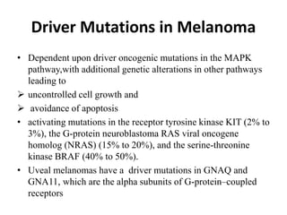 Driver Mutations in Melanoma
• Dependent upon driver oncogenic mutations in the MAPK
pathway,with additional genetic alterations in other pathways
leading to
 uncontrolled cell growth and
 avoidance of apoptosis
• activating mutations in the receptor tyrosine kinase KIT (2% to
3%), the G-protein neuroblastoma RAS viral oncogene
homolog (NRAS) (15% to 20%), and the serine-threonine
kinase BRAF (40% to 50%).
• Uveal melanomas have a driver mutations in GNAQ and
GNA11, which are the alpha subunits of G-protein–coupled
receptors
 