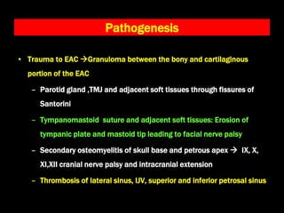 Pathogenesis
• Trauma to EAC Granuloma between the bony and cartilaginous
portion of the EAC
– Parotid gland ,TMJ and adjacent soft tissues through fissures of
Santorini
– Tympanomastoid suture and adjacent soft tissues: Erosion of
tympanic plate and mastoid tip leading to facial nerve palsy
– Secondary osteomyelitis of skull base and petrous apex  IX, X,
XI,XII cranial nerve palsy and intracranial extension
– Thrombosis of lateral sinus, IJV, superior and inferior petrosal sinus
 
