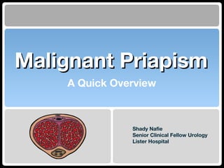 Malignant PriapismMalignant Priapism
A Quick Overview
Shady Nafie
Senior Clinical Fellow Urology
Lister Hospital
 