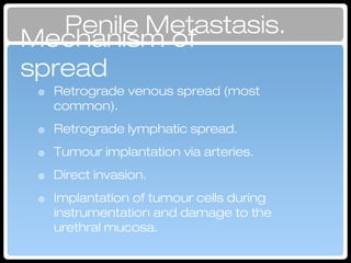 Mechanism of spread
๏ Retrograde venous spread (most
common).
๏ Retrograde lymphatic spread.
๏ Tumour implantation via arteries.
๏ Direct invasion.
๏ Implantation of tumour cells during
instrumentation and damage to the
urethral mucosa.
Penile Metastasis.
 