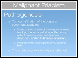 ๏ Tumour infiltration of the corpora
cavernosa leads to:
๏ Stasis or thrombosis of the venous sinuses,
blocking the venous drainage. Remaining
patent cavernous sinuses become
distended, leading to Erection (priapism).
๏ Irritation of the neural pathways, causing
Pain.
๏ The arterial supply is usually not affected.
Malignant Priapism
Pathogenesis
 