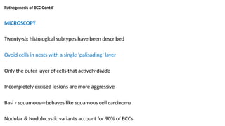 Pathogenesis of BCC Contd’
MICROSCOPY
Twenty-six histological subtypes have been described
Ovoid cells in nests with a single ‘palisading’ layer
Only the outer layer of cells that actively divide
Incompletely excised lesions are more aggressive
Basi - squamous—behaves like squamous cell carcinoma
Nodular & Nodulocystic variants account for 90% of BCCs
 
