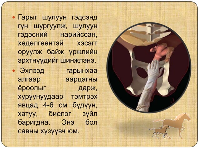 Малын хээл тодорхойлох аргууд