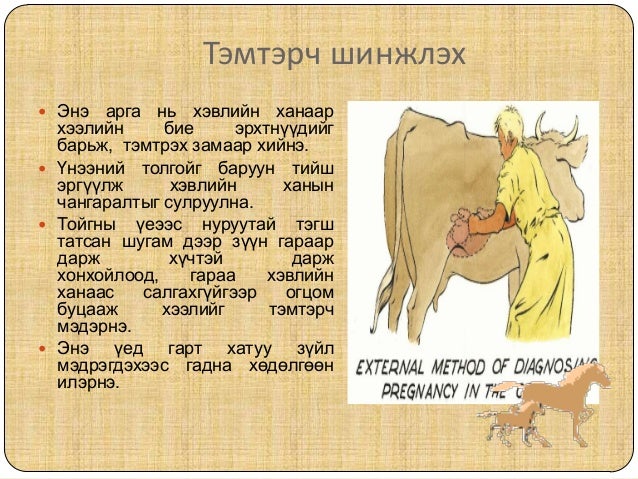 Малын хээл тодорхойлох аргууд