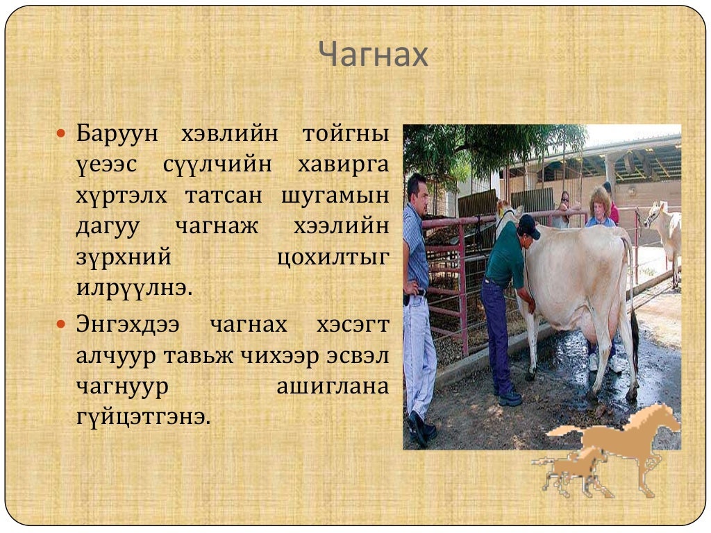 Малын хээл тодорхойлох аргууд