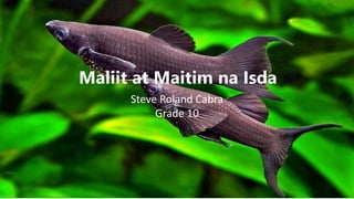 Maliit at Maitim na Isda
Steve Roland Cabra
Grade 10
 