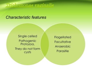 Characteristic features
 