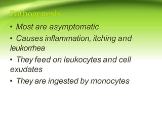 • Most are asymptomatic
• Causes inflammation, itching and
leukorrhea
• They feed on leukocytes and cell
exudates
• They are ingested by monocytes
 