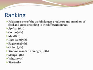 Ranking
Pakistan is one of the world's largest producers and suppliers of
food and crops according to the different sources.
Apricot (6th)
Cotton(4th)
Milk(8th)
Date Palm(5th)
Sugarcane(5th)
Onion (7th)
Kinnow, mandarin oranges, (6th)
Mango (4th)
Wheat (7th)
Rice (11th)
 