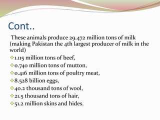 Cont..
These animals produce 29.472 million tons of milk
(making Pakistan the 4th largest producer of milk in the
world)
1.115 million tons of beef,
0.740 million tons of mutton,
0.416 million tons of poultry meat,
8.528 billion eggs,
40.2 thousand tons of wool,
21.5 thousand tons of hair,
51.2 million skins and hides.
 