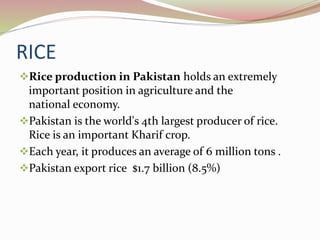 RICE
Rice production in Pakistan holds an extremely
important position in agriculture and the
national economy.
Pakistan is the world's 4th largest producer of rice.
Rice is an important Kharif crop.
Each year, it produces an average of 6 million tons .
Pakistan export rice $1.7 billion (8.5%)
 