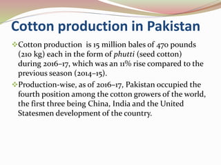 Cotton production in Pakistan
Cotton production is 15 million bales of 470 pounds
(210 kg) each in the form of phutti (seed cotton)
during 2016–17, which was an 11% rise compared to the
previous season (2014–15).
Production-wise, as of 2016–17, Pakistan occupied the
fourth position among the cotton growers of the world,
the first three being China, India and the United
Statesmen development of the country.
 