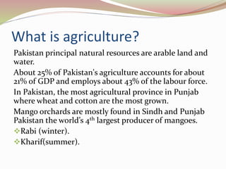 What is agriculture?
Pakistan principal natural resources are arable land and
water.
About 25% of Pakistan's agriculture accounts for about
21% of GDP and employs about 43% of the labour force.
In Pakistan, the most agricultural province in Punjab
where wheat and cotton are the most grown.
Mango orchards are mostly found in Sindh and Punjab
Pakistan the world’s 4th largest producer of mangoes.
Rabi (winter).
Kharif(summer).
 