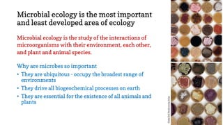 Genomics in Microbial Ecology by Ashish Malik | PPT