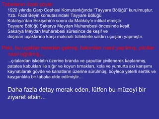 Tabelanın özeti şöyle: 1920 yılında Garp Cephesi Komutanlığında “Tayyare Bölüğü” kurulmuştur. Yzb. Fazıl Beyin komutasındaki Tayyare Bölüğü Kütahya’dan Eskişehir’e sonra da Malıköy’e intikal etmiştir. Tayyare Bölüğü Sakarya Meydan Muharebesi öncesinde keşif, Sakarya Meydan Muharebesi süresince de keşif ve  düşman uçaklarına karşı makinalı tüfeklerle saldırı uçuşları yapmıştır. Peki, bu uçaklar nereden gelmiş, bakımları nasıl yapılmış, pilotlar nasıl eğitilmiş... ...çıtalardan iskeletin üzerine branda ve çaputlar çivilenerek kaplanmış, patates kabukları ile sığır ve koyun tırnakları, kola ve yumurta akı karışımı kaynatılarak gövde ve kanatların üzerine sürülmüş, böylece yeterli sertlik ve kayganlıkta bir tabaka elde edilmiştir... Daha fazla detay merak eden, lütfen bu müzeyi bir ziyaret etsin... 