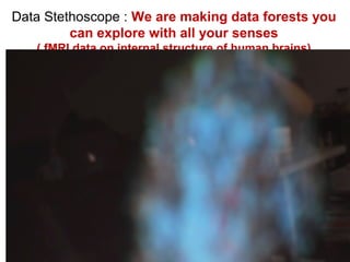 Data Stethoscope : We are making data forests you
can explore with all your senses
( fMRI data on internal structure of human brains)
 