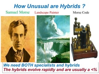 How Unusual are Hybrids ?
Samuel Morse
We need BOTH specialists and hybrids
The hybrids evolve rapidly and are usually a <%
Landscape Painter Morse Code
.
 