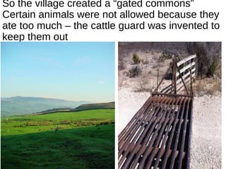 So the village created a “gated commons”
Certain animals were not allowed because they
ate too much – the cattle guard was invented to
keep them out
 