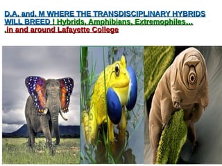 D.A. and. M WHERE THE TRANSDISCIPLINARY HYBRIDSD.A. and. M WHERE THE TRANSDISCIPLINARY HYBRIDS
WILL BREEDWILL BREED ! Hybrids, Amphibians, Extremophiles…! Hybrids, Amphibians, Extremophiles…
..in and around Lafayette Collegein and around Lafayette College
 