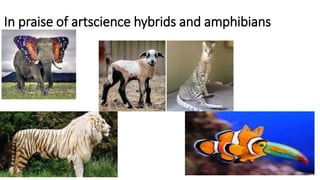In praise of artscience hybrids and amphibians
 