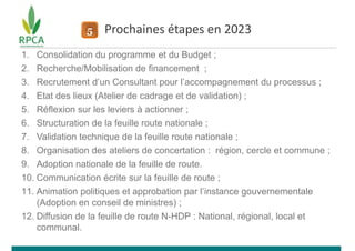 Mali NHDP_RPCA avril 2023.pptx