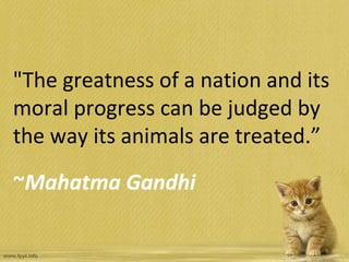 "The greatness of a nation and its
moral progress can be judged by
the way its animals are treated.”
~Mahatma Gandhi
 